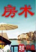 房产大亨顶点