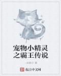 宠物小精灵之天王传说