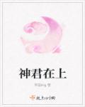 神君在上1v1白洛结局