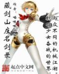 机巧无常对剑