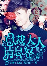 总裁大人第一宠 三世忘川