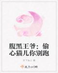 腹黑王爷的心尖宠妃