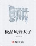 极品太子爷 百度百科