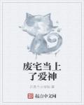 作者废宅自白
