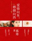 爱情向东婚姻像西全文免费