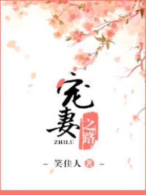 宠妻之路萝卜药丸