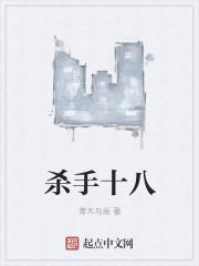 十八流杀手全部结局