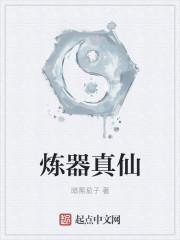 炼器真仙TXT精校版