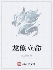 龙象是啥