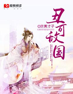 丑国是什么