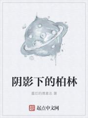动画短片柏林阴影下