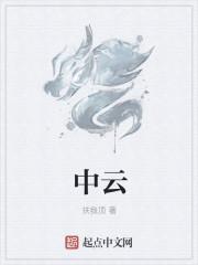 中云是什么意思
