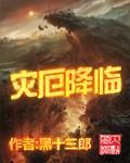 灾厄 攻略