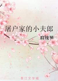 屠夫家的小夫郎