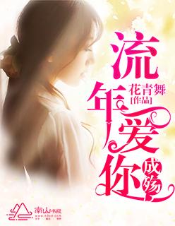 流年成殇的意思