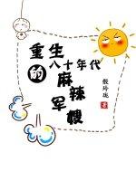 八零年代之麻辣军嫂
