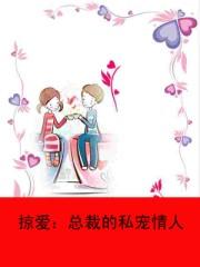 掠爱:总裁的私宠情人